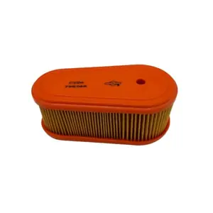 Briggs & Stratton 795066 Genuine Lawn Mower Air Filter